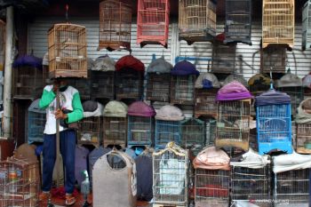 Pasar burung jadi wisata alternatif