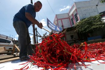 Pengolahan Cabai Kering