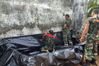 Budi daya ikan lele untuk jaga ketahanan pangan