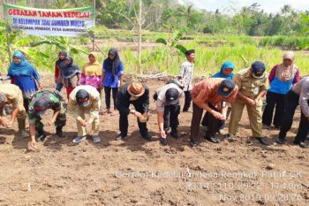 Luas lahan khusus pertanian di Gunung Kidul menyusut 7.766 hektare