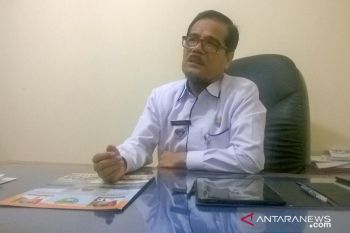 Empat investor kelapa sawit jajaki peluang investasi di Pesisir Selatan