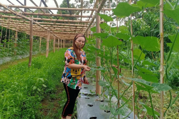 Sentrum Agraris Lotta Bantu Pengembangan Komoditas Pangan