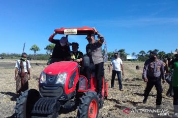 Kementan dukung NTT kembangkan 10.000 hektare jagung