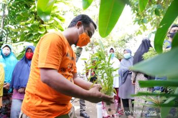 Pemprov Sulsel bantu bibit sayur untuk jaga ketahanan pangan keluarga