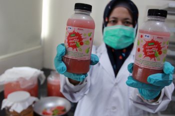 Minuman jambu biji ciptaan LIPI, peningkat imun tubuh