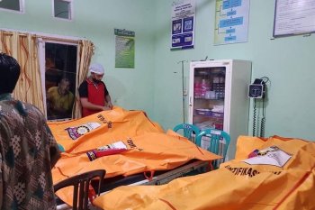 PETI di Jambi telan tiga nyawa