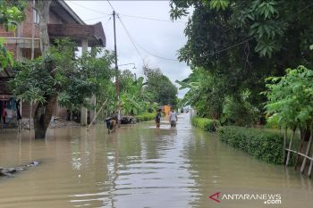 Air laut pasang di Tegal rendam 187 rumah warga