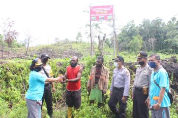 Jaga ketahanan pangan, Polres Biak bagikan 3.500 bibit jagung kelompok tani binaan