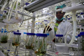 Menlu Nigeria positif terkena COVID-19