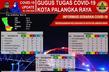 59 pasien sembuh dari COVID-19 di Palangka Raya