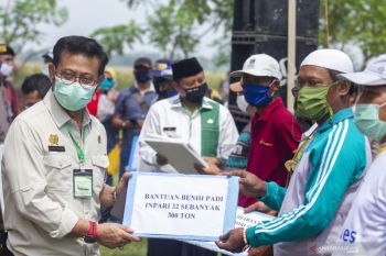 Masa pandemi COVID-19, Kementan tetap terus berupaya jaga pasokan pangan