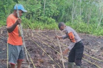 Kapolres Supiori: Bhabinkamtibmas Kampung Duber ajak warga bertani