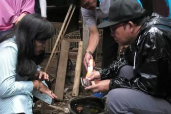 Kasus DBD di Banyumas mencapai 209 penderita, 6 di antaranya meninggal