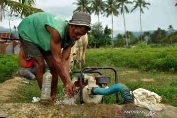 Petani Sigi mulai  nikmati manfaat sumur pertanian bantuan ACT