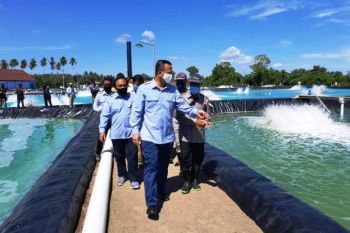 Menteri KP siap dukung pengembangan tambak di Pasangkayu