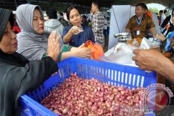 Kebijakan distributor picu kenaikan harga bawang  di Palu