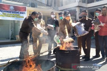Kejari Pariaman musnahkan barang bukti 8,5 kilogram narkoba