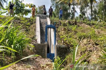 Kulon Progo susun survei investigasi untuk desain cetak sawah 135,5 hekatre