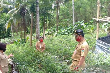 DKP: Aktivitas pertanian di saat pandemi meningkat tajam