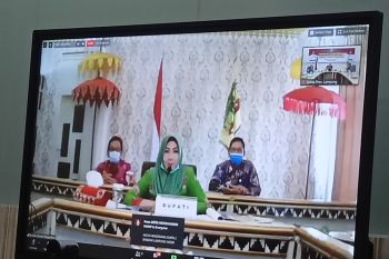 Pemprov Lampung akan siapkan skema bagi bidang literasi di masa normal baru