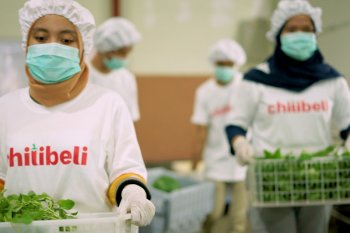 Chilibeli buka gerai secara resmi di Lazada
