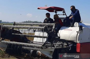 Menteri Pertanian mendorong gerakan percepatan tanam di semua daerah