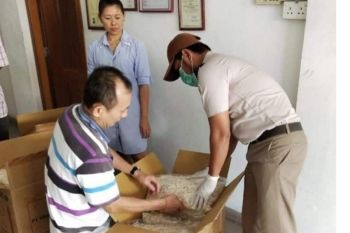 Karantina Pertanian Kabupaten Karimun genjot layanan ekspor sarang burung walet
