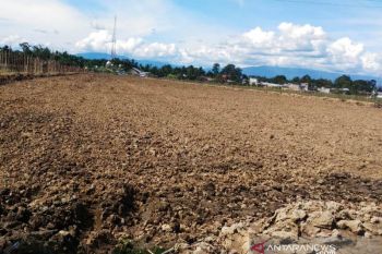 ISMI kembangkan tanaman bawang merah di Aceh Barat
