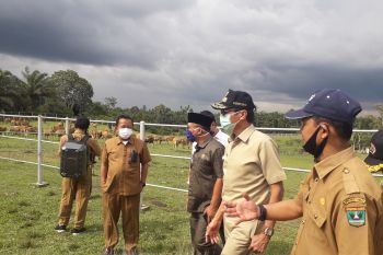 Tinjau UPT Peternakan Air Runding, Gubernur berharap tak ada ternak yang mati (Video)