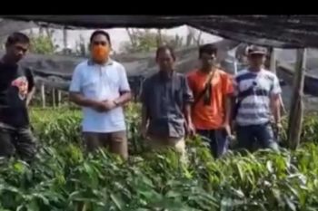 DPRD ajak pemerintah Sulbar majukan pengusaha lokal