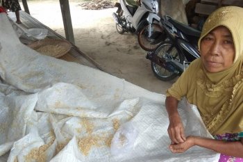 Warga ini jemur nasi bekas jadi penganan konsumsi tambahan di tengah pandemi COVID-19