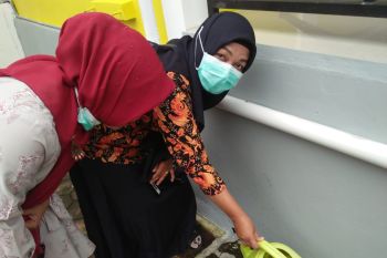 Empat orang warga Ophir Pasaman Barat terjangkit DBD, satu diantaranya sembuh