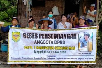 Petani di Gumas ingin ikut program tanam jagung hibrida