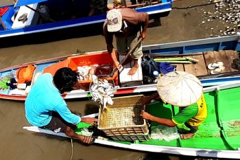 Sukses lawan corona, asa Kaltara pulihkan perekonomian