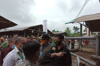 Mentan : Daripada rakyat kelaparan, lebih baik COVID-19 dihadapi