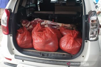 Polisi ringkus spesialis pencuri daging sapi di Palu