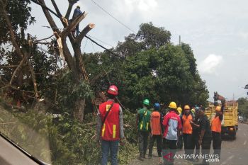 PLN Pekalongan  berkomitmen jaga keandalan pasokan listrik