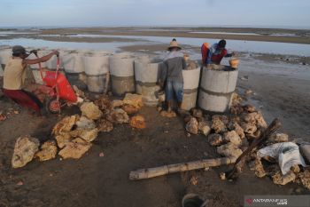 Proyek penyelamatan pantai wisata
