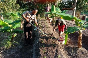 Polsek Sota bersama warga perbatasan tanam sayur jaga ketahanan pangan