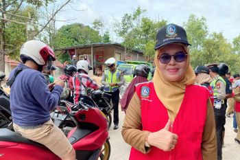 Target penerimaan pajak daerah Kepri turun dampak COVID-19
