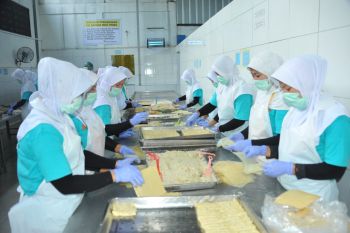 Hasil survei indikasikan kegiatan dunia usaha turun pada triwulan II 2020