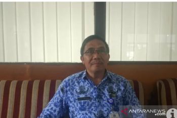 Harga komoditas perkebunan Sulut bertahan di tengah pandemi