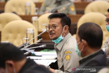 Mentan: Masih ada stok beras 6,1 juta ton hingga Desember 2020