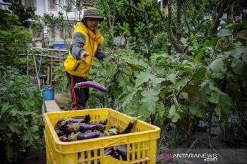 BI sebut pertanian terintegrasi teknologi di pesantren dapat dukung hilirisasi