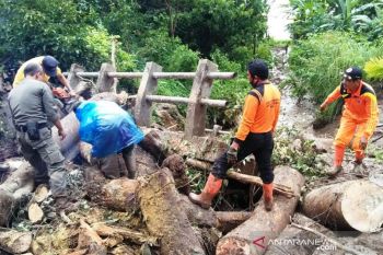 Bersihkan material longsor di tiga kecamatan, Agam minta bantu alat berat Provinsi