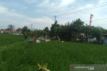 Stok pangan di  Surakarta aman hingga tiga bulan ke depan