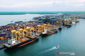 Pemerintah tanggung bea masuk dunia usaha terdampak pandemi