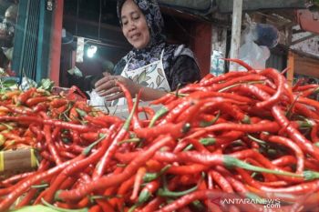 Di era normal baru, harga cabai merah di Pasar Raya Padang masih murah hanya Rp16.000/kg