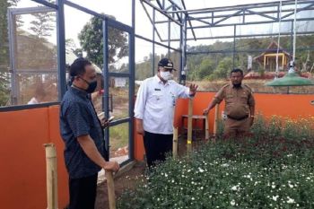 Sumbar Kembangkan Tanaman Hias Gerakkan Roda Perekonomian
