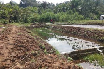 Pemkab Jayapura galakkan program ekonomi gerakan memelihara ikan